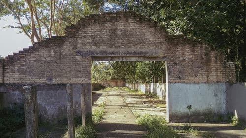 o céu diante dos meus olhos nunca é cinza Bild 3