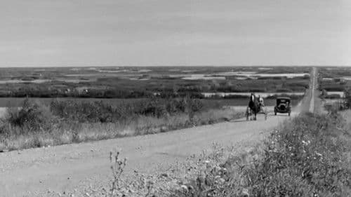 Cornet at Night Bild 3