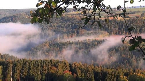 The Black Forest - Mystischer Schwarzwald Bild 1