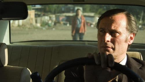 Schwarze Nelke Bild 1