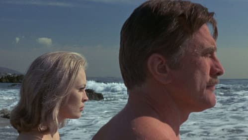 Das Arrangement Bild 3