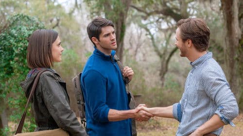 Home by Spring Bild 6