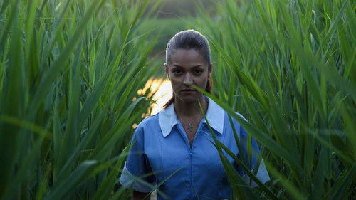 The Maid's Room Bild 6