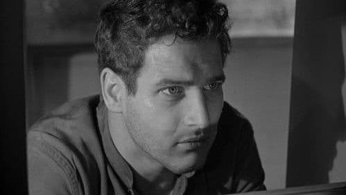 Die Hölle ist in mir Bild 5