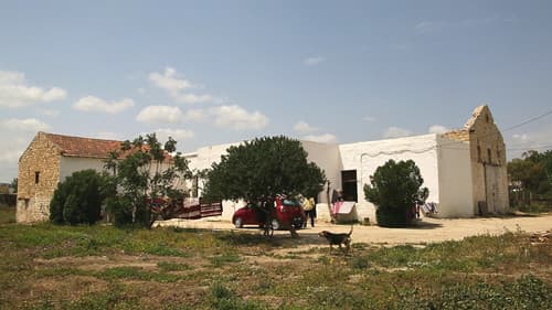 Manca Moro  مقرونة عربي Bild 5