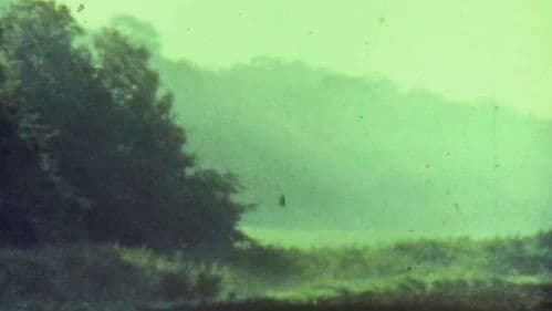 Мої вихідні Bild 2