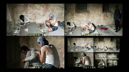 Privacy of Wounds Bild 2