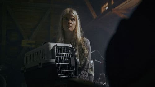 Armomurhaaja - Euthanizer Bild 6