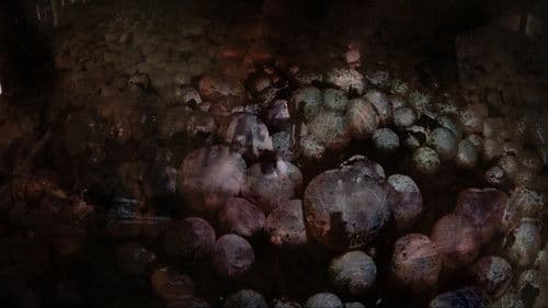 I Go and Feed Her Bild 1