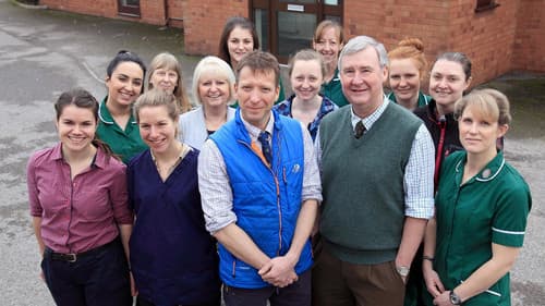 The Yorkshire Vet Bild 1