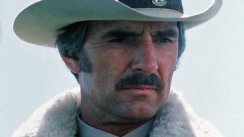 Ein Sheriff in New York Bild 5