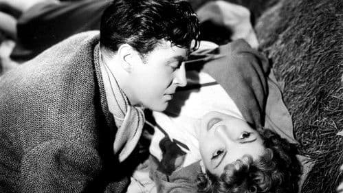 Arise, My Love Bild 8