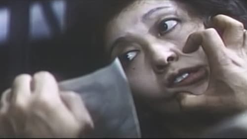 夜の禁猟区 Bild 3