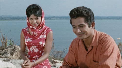 น้ำตาลไม่หวาน Bild 1