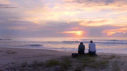 Waltzing Jimeoin Bild 4