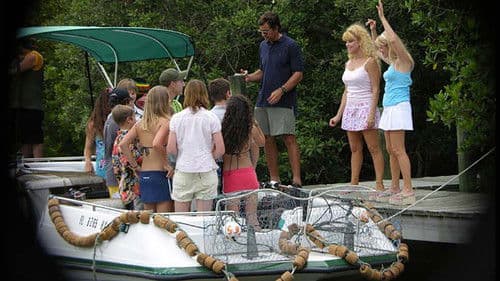 Circus Island Bild 1