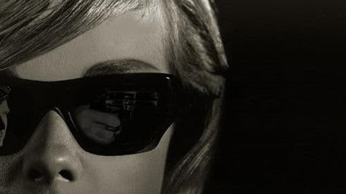 Privatdetektivin Honey West Bild 2