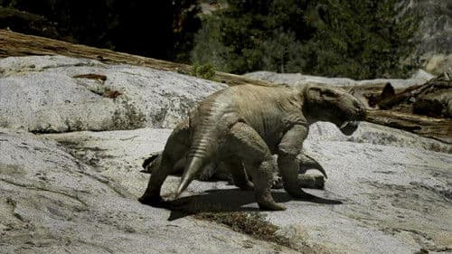 Leaps In Evolution Bild 3