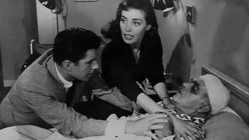 Die Wespenfrau Bild 4