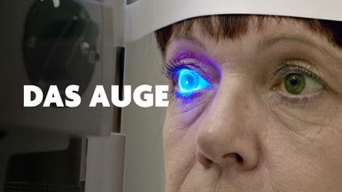 Das Auge - Forschung sehen Bild 2