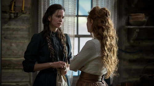 The World to Come Bild 3