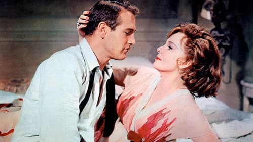 Süßer Vogel Jugend Bild 3