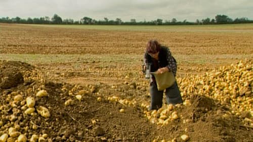 Die Sammler und die Sammlerin Bild 6