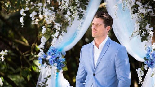 Aller guten Dinge sind drei! Bild 8