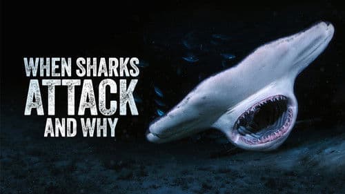 When Sharks Attack... and Why Bild 4
