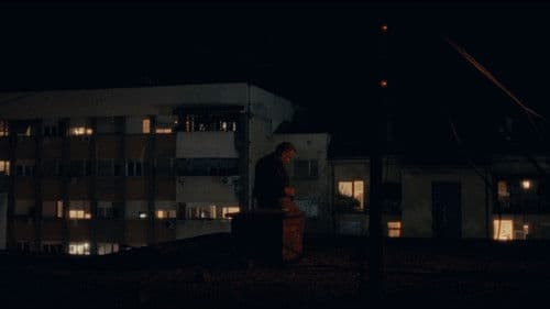 Храна за голубове Bild 1