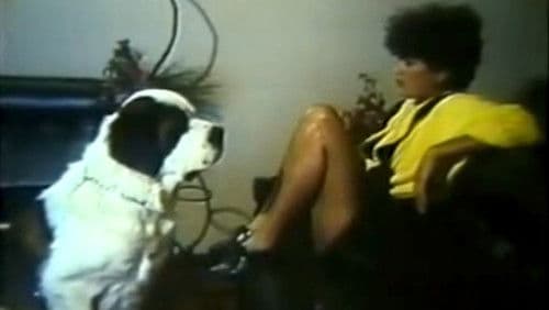 Meu Cachorro, Meu Amante Bild 1