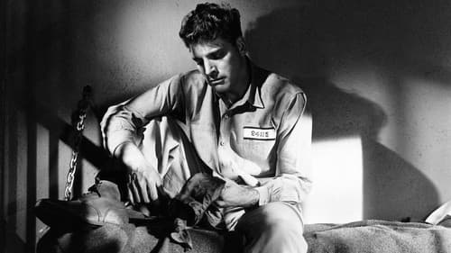 Rächer der Unterwelt Bild 5