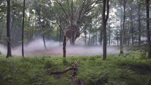 Love Is Blind Bild 4