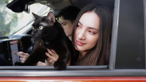 กาฬวิฬาร์ อาถรรพ์ปีศาจแมวดำ Bild 1