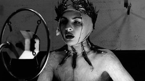 Die neun Leben des Tomas Katz Bild 3