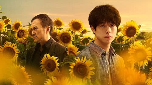 盤上の向日葵 Bild 1