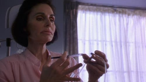 Mrs. Winterbourne Bild 6