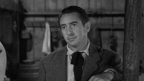 Der schwarze Mustang Bild 5