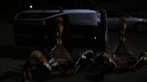 Mega Scorpions Bild 3