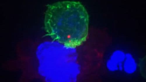 Failed Experiments Bild 1