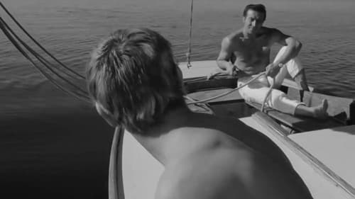 Das Messer im Wasser Bild 6