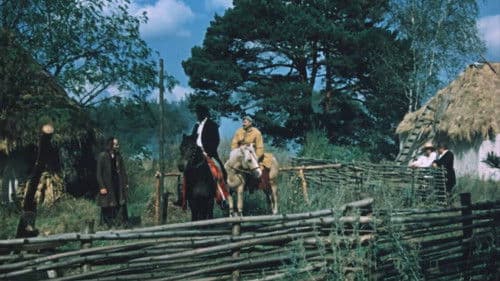 Чудо в краю забуття Bild 3