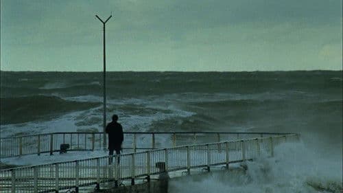 Autumn - Sonbahar Bild 6