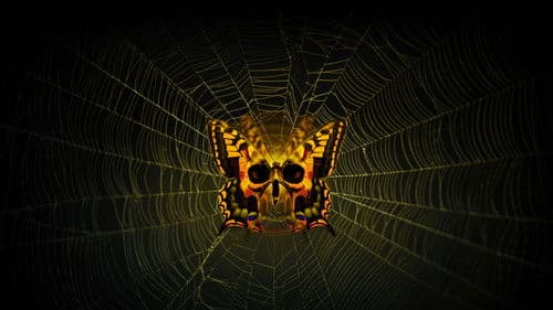 Moskito-Küste Bild 5