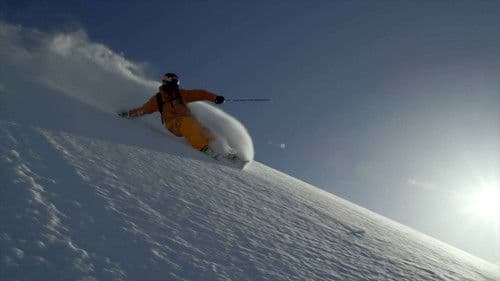 Days of My Youth Bild 1