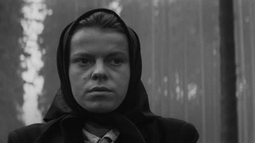 Wagen nach Wien Bild 1