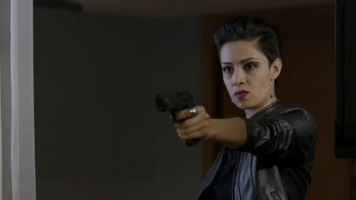 Perras de barrio 2 Bild 1