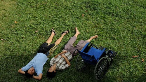 เจ้านกกระจอก Bild 5