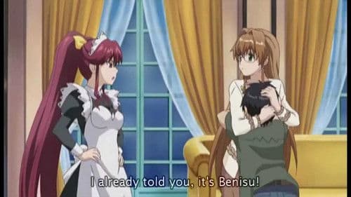 They Are My Noble Masters Bild 3