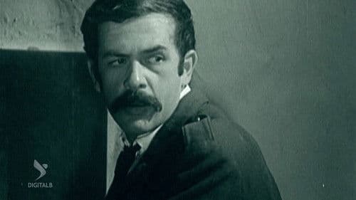 Yjet e netëve të gjata Bild 1